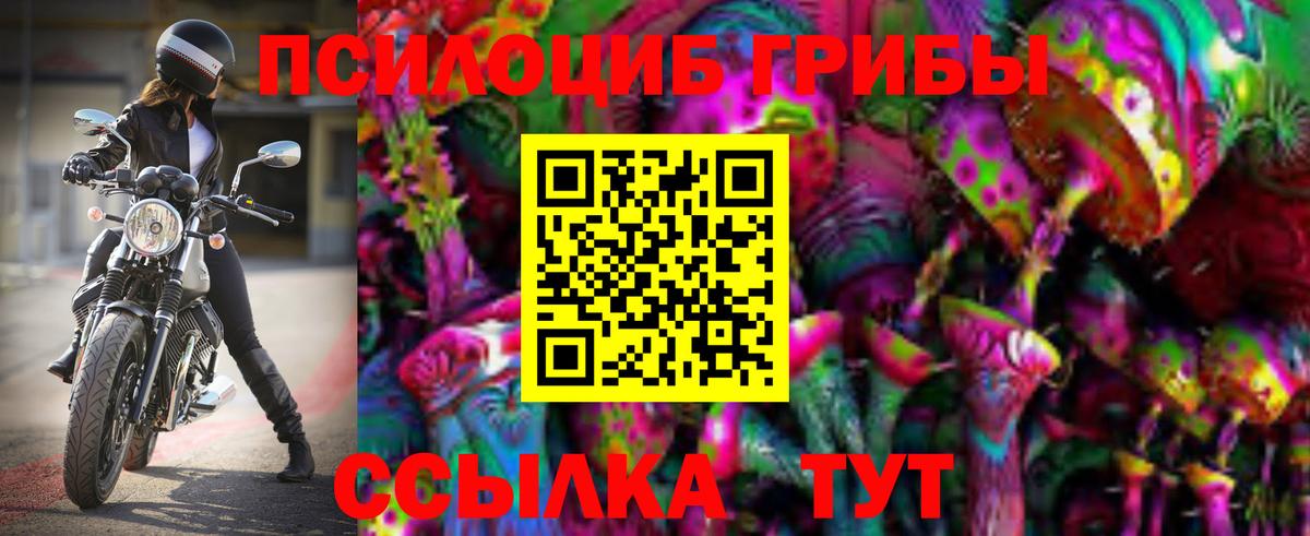 Галлюциногенные грибы Magic Shrooms Апшеронск
