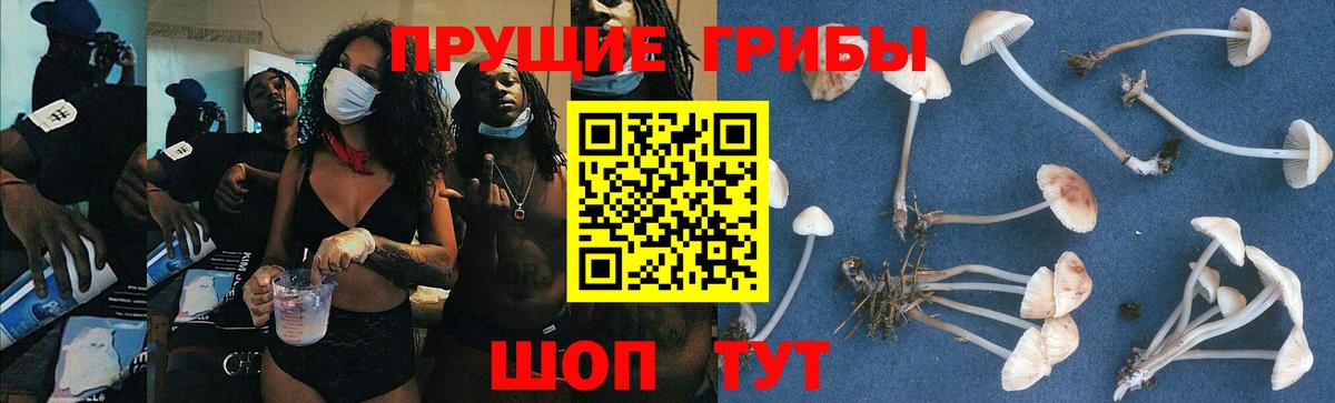 Псилоцибиновые грибы MAGIC MUSHROOMS Апшеронск
