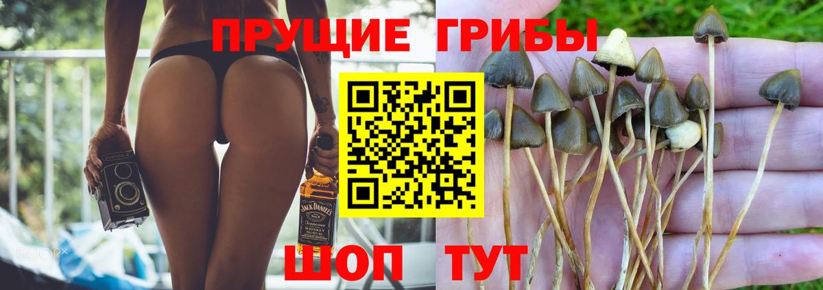 Галлюциногенные грибы мицелий  Апшеронск  Галлюциногенные грибы Magic Shrooms 